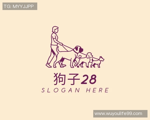 与狗子相伴的日子里我找到了生活的意义与治愈的力量 与狗子相伴的日子里我找到了生活的意义与治愈的力量