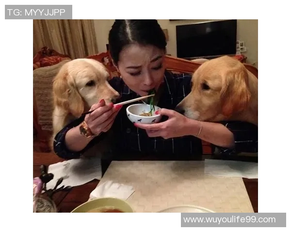 狗狗的幸福生活全在脸上流露出来的秘密与故事