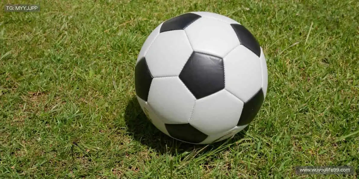 📺高清直播，一键开启你的专属观赛盛宴！